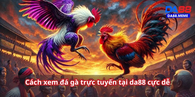 Hướng dẫn xem đá gà chi tiết cho quý khách hàng